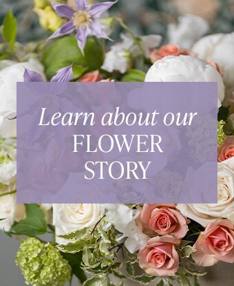 Flower Story